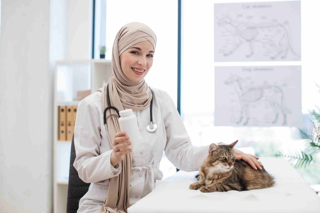 Why Professional Cats Boarding In Dubai Is Better Than Home Care